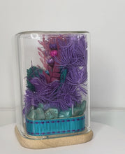Load and play video in Gallery viewer, AMAZONITE CRYSTAL - FLORAL TERRARIUM MINI SIZ
