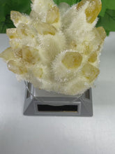 Load and play video in Gallery viewer, QUARTZ PHANTOM YELLOW
