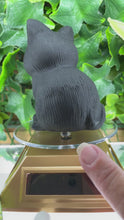 Load and play video in Gallery viewer, Cat Carving - Black Obsidian
