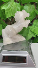 Load and play video in Gallery viewer, MILKY QUARTZ - HORSE CARVING
