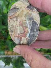 Load and play video in Gallery viewer, CRAZY LACE AGATE PALM STONE
