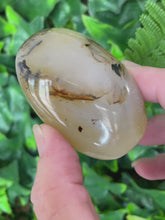 Load and play video in Gallery viewer, DENDRITIC AGATE PALM STONE
