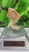 Load and play video in Gallery viewer, DOLPHIN CARVING - GREEN ONYX
