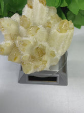 Load and play video in Gallery viewer, QUARTZ PHANTOM YELLOW
