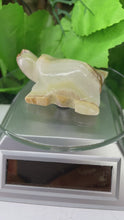 Load and play video in Gallery viewer, TURTLE CARVING - GREEN ONYX
