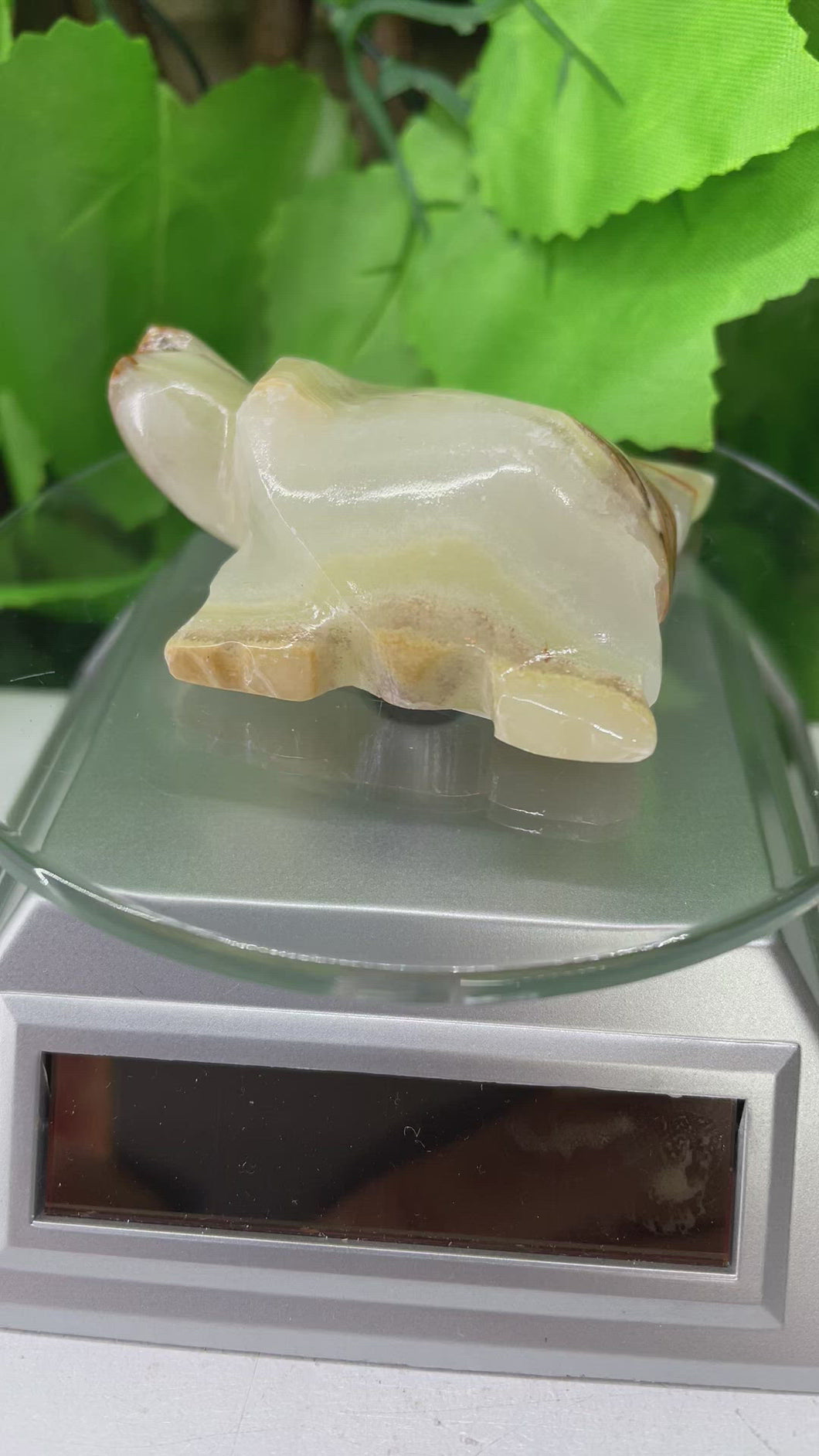 TURTLE CARVING - GREEN ONYX