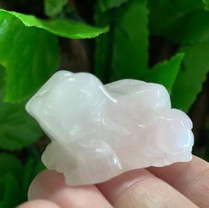 FROG CARVING ROSE QUARTZ
