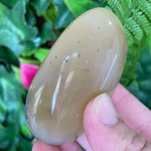 DENDRITIC AGATE PALM STONE