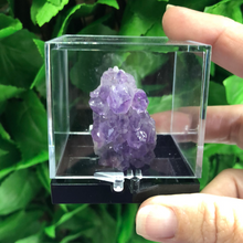 Load image into Gallery viewer, SPECIMEN DISPLAY BOX
