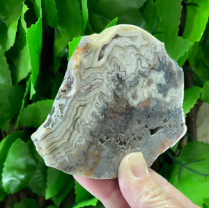 CRAZY LACE AGATE - MEXICAN