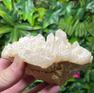 NATURAL QUARTZ CLUSTER