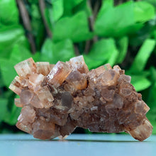 Load image into Gallery viewer, ARAGONITE SPUTNIK
