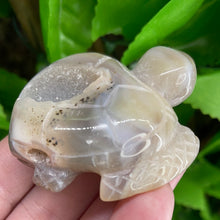 Load image into Gallery viewer, TURTLE CARVING - AGATE DRUZY
