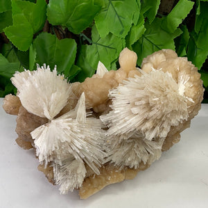 SCOLECITE & STILBITE