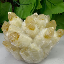 Load image into Gallery viewer, QUARTZ PHANTOM YELLOW
