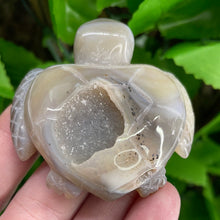 Load image into Gallery viewer, TURTLE CARVING - AGATE DRUZY
