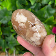 Load image into Gallery viewer, Flower Agate Palm Stone
