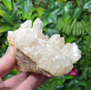 NATURAL QUARTZ CLUSTER