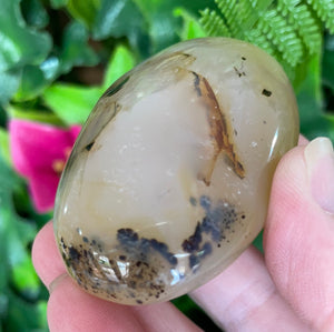 DENDRITIC AGATE PALM STONE
