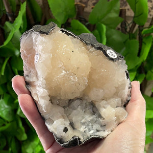 APOPHYLLITE