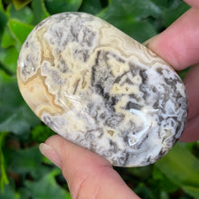Load image into Gallery viewer, CRAZY LACE AGATE PALM STONE
