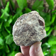 Load image into Gallery viewer, CABOLTO CALCITE
