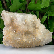 Load image into Gallery viewer, QUARTZ / CITRINE POINT CLUSTER
