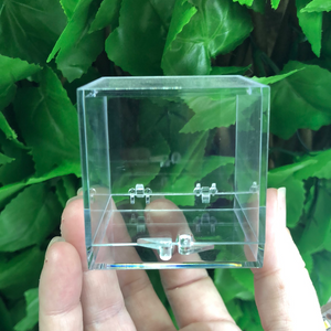 SPECIMEN DISPLAY BOX