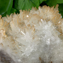 Load image into Gallery viewer, QUARTZ / CITRINE POINT CLUSTER
