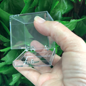 SPECIMEN DISPLAY BOX