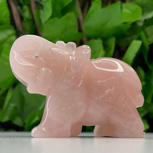ELEPHANT CARVING - ROSE QUARTZ