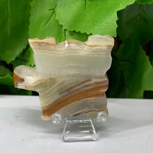 Load image into Gallery viewer, TURTLE CARVING - GREEN ONYX
