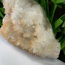 Load image into Gallery viewer, QUARTZ / CITRINE POINT CLUSTER

