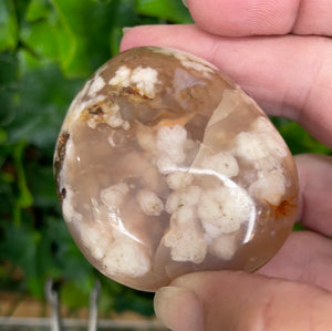 Flower Agate Palm Stone