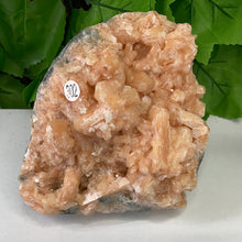 Load image into Gallery viewer, STILBITE PEACH
