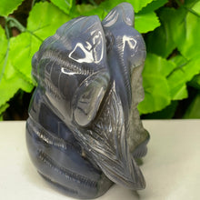 Load image into Gallery viewer, TIGER CARVING - AGATE DRUZY
