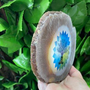 AGATE SLICE TREE OF LIFE CHAKRA