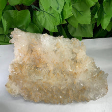 Load image into Gallery viewer, QUARTZ / CITRINE POINT CLUSTER
