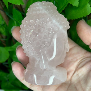 BUDDAH HEAD - ROSE QUARTZ CARING