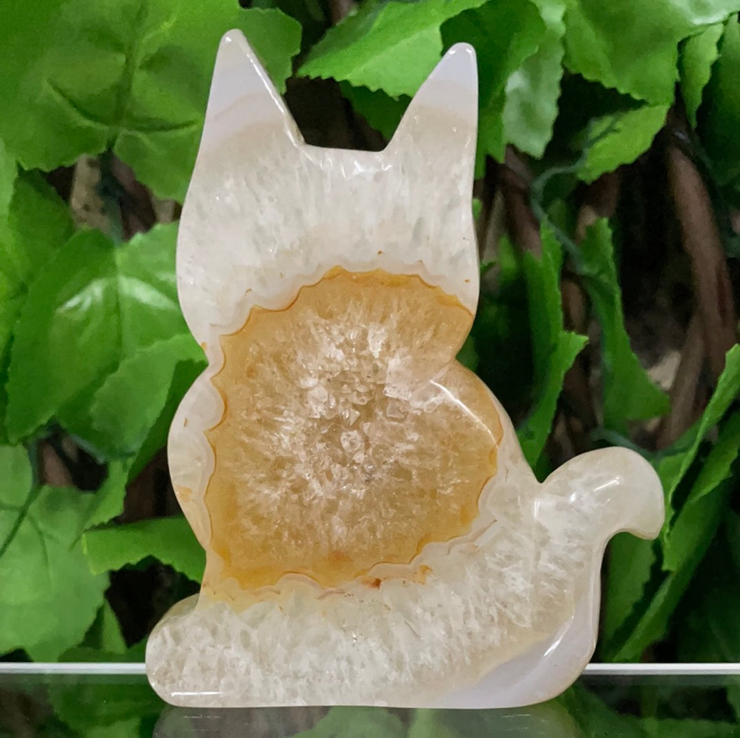 CAT CARVING - AGATE DRUZY