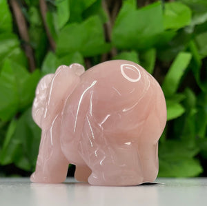 ELEPHANT CARVING - ROSE QUARTZ