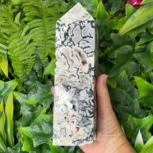 Load image into Gallery viewer, TREE AGATE DRUZY OBELISK TOWER
