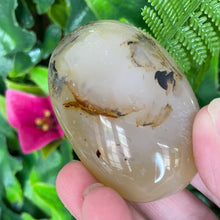 Load image into Gallery viewer, DENDRITIC AGATE PALM STONE
