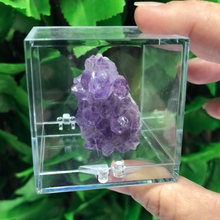 Load image into Gallery viewer, SPECIMEN DISPLAY BOX
