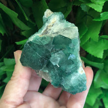 Load image into Gallery viewer, FLUORITE SPECIMEN GREEN
