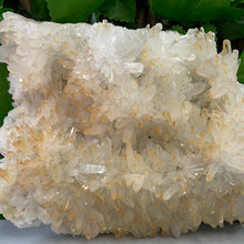 Load image into Gallery viewer, QUARTZ / CITRINE POINT CLUSTER
