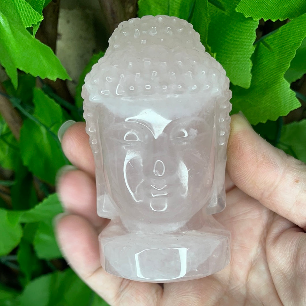 BUDDAH HEAD - ROSE QUARTZ CARING