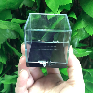 SPECIMEN DISPLAY BOX