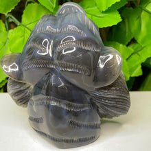 Load image into Gallery viewer, TIGER CARVING - AGATE DRUZY
