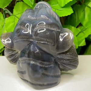 TIGER CARVING - AGATE DRUZY